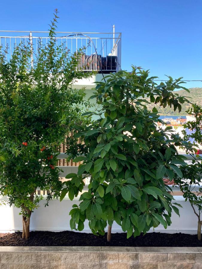 Citrus Apartment Argostoli (Kefalonia) Exterior foto
